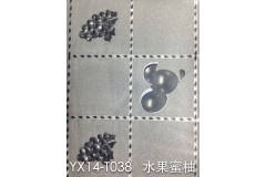 河南YX14-TO38 水果蜜柚